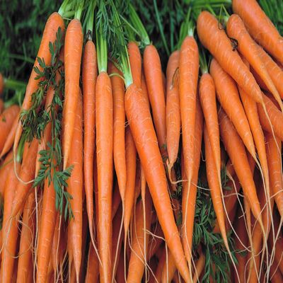 Carrots