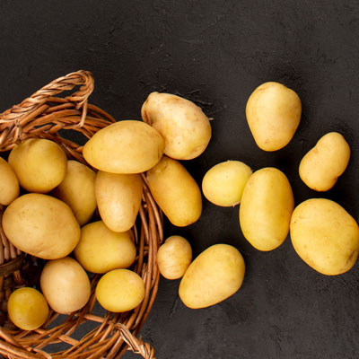 Potato